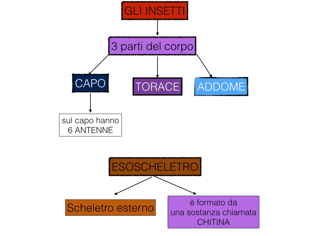 Medicine a vermi a sospensione di bambini