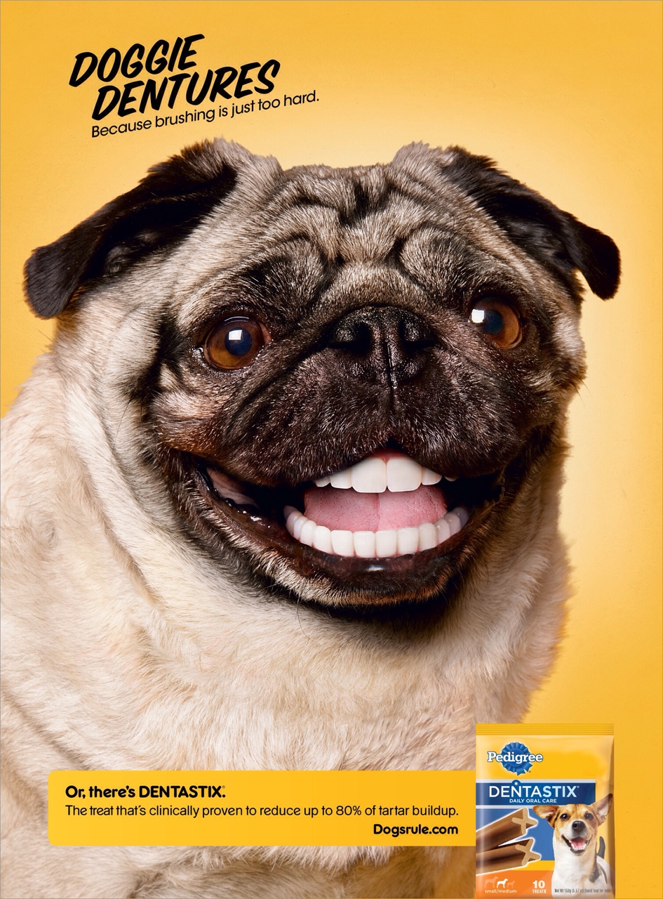 doggie dentures ad thinglink