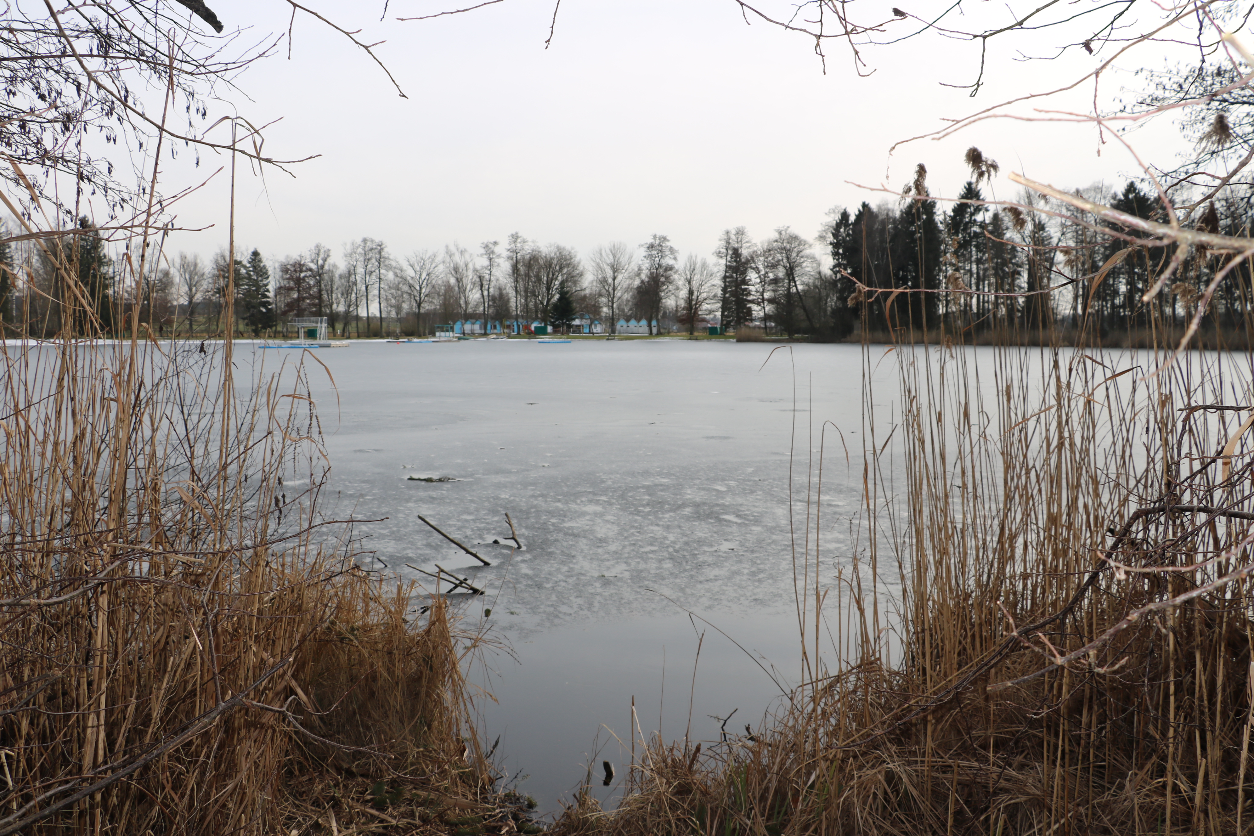 Rundweg Um Den Stegersee Wird Erneuert