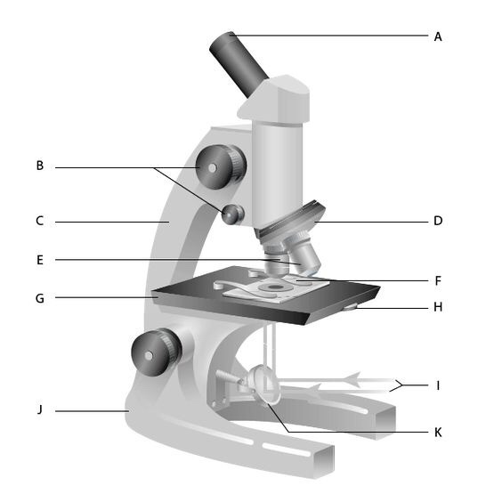 microscope labeling lukas balatbat microscope labeling