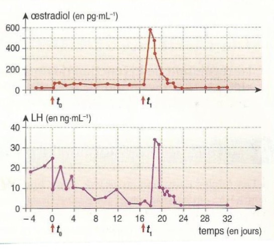 La régulation hormonale chez la femme La régulation hormonale chez la femme
