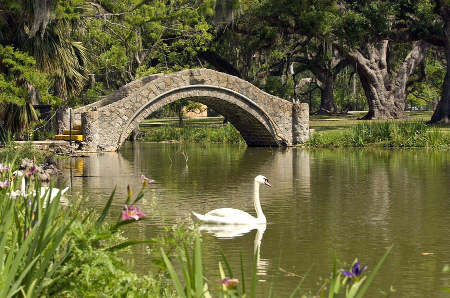 New Orleans City Park