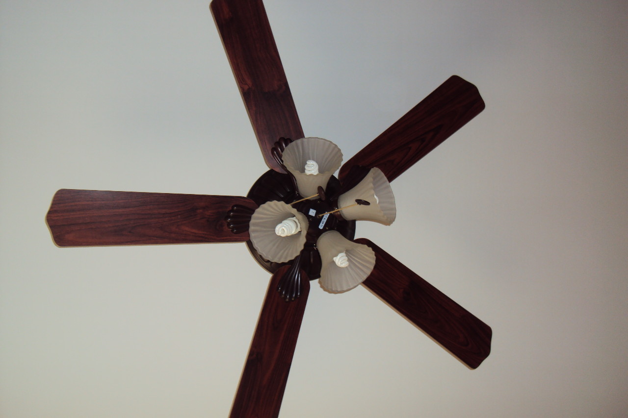 Poligonos en nuestras vidas poligoamigos