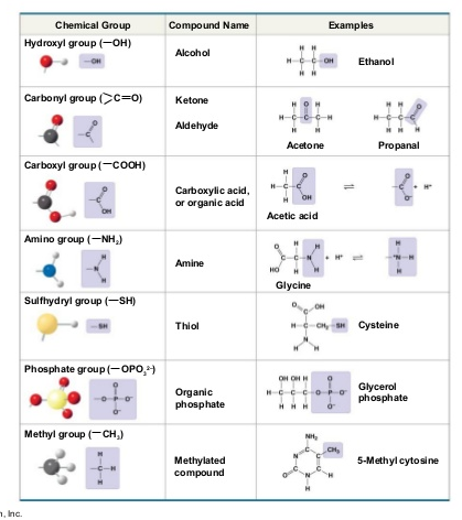 ch4 carbon functional groups