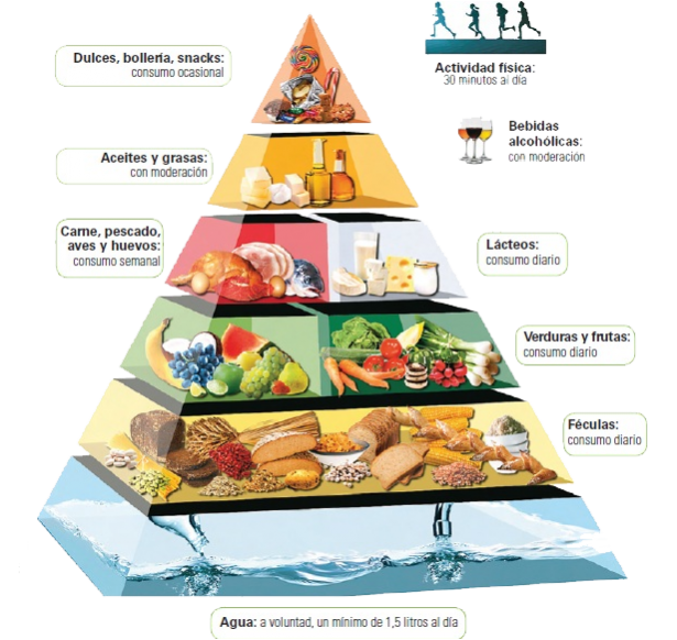 piramide alimenticia los lacteos