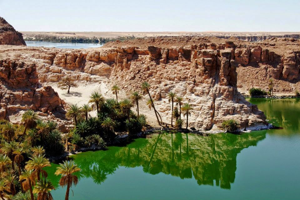 планирую чад картинки фото синдром